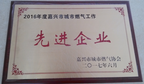 2016年度嘉興市城市燃氣工作先進企業(yè).jpg 2016年度嘉興市城市燃氣工作先進企業(yè).jpg